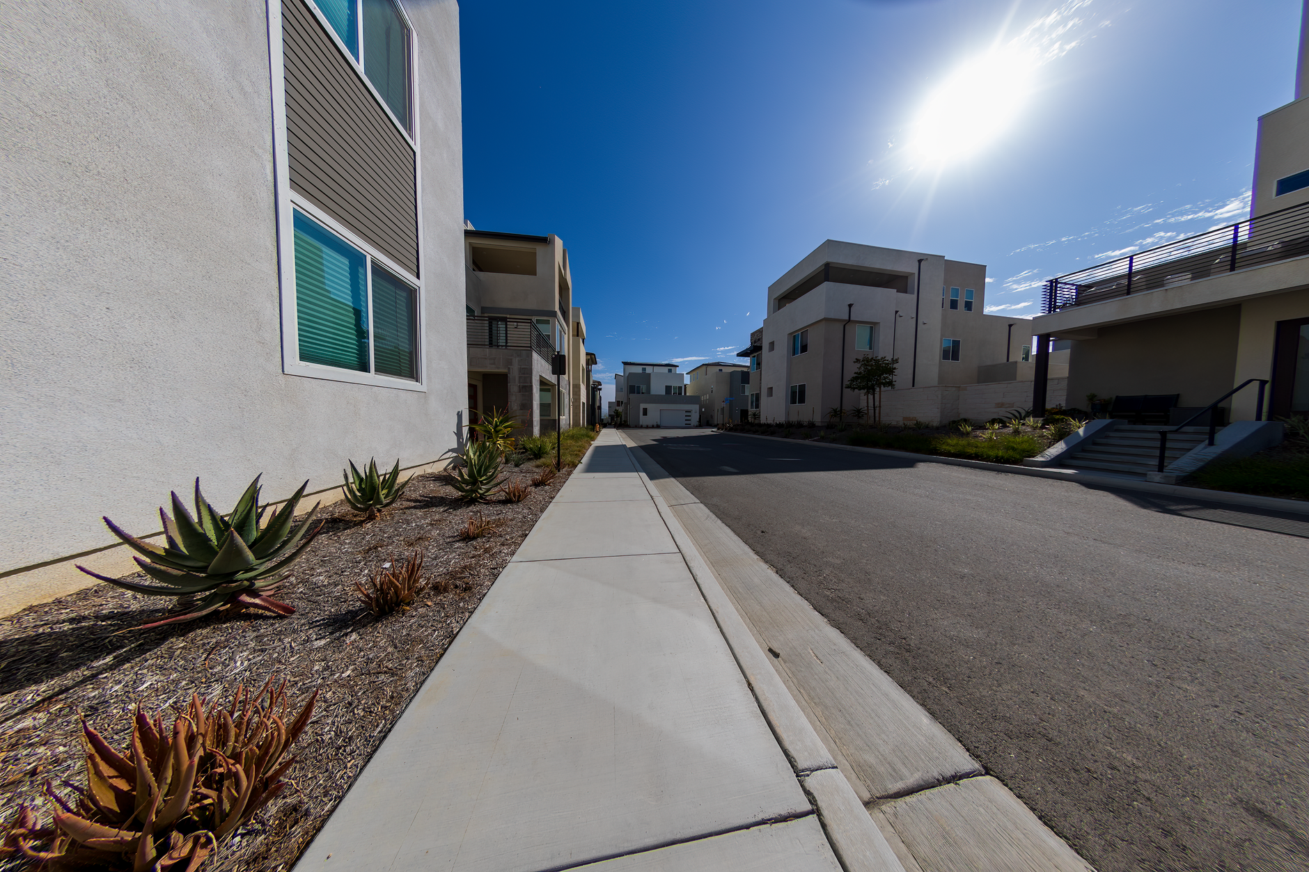 Rua residencial tranquila e arborizada com casas modernas e calçadas organizadas.